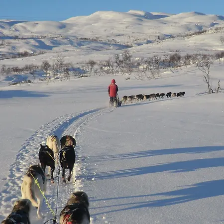 Haukeli Husky Rauland
